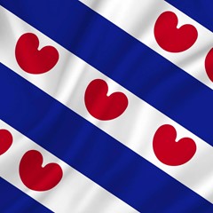 Vlag Friesland 300 x 120 cm