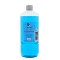 Cai-Pan Mintspray (Navulverpakking) - 1 Liter