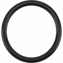 Birchmeier O-Ring 31,34x3,53 mm