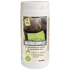 VITALstyle GastroComplex 1 KG Poeder