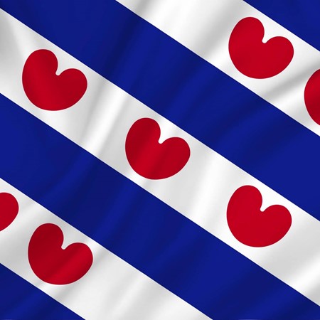 Vlag Friesland 50 x 75 cm