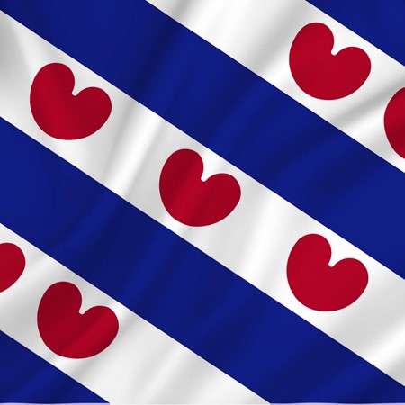 Vlag Friesland 150 x 225 cm
