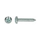 PGB-Fasteners Zelftappende Schroef Staal 2,9 x 6,5 mm