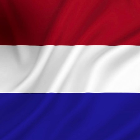 Vlag Nederland 30x45 CM