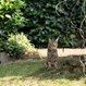 Schrikdraad Tuinset (Katten / Honden) 50 Cm - Gallagher