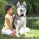 Petsafe Omheiningssysteem (Ondergrondse Draad) - Kleine / Middelgrote Honden